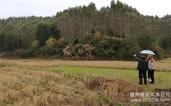 安阳市陈老师带着爱徒寻龙点穴